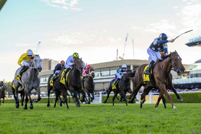 at the races app android