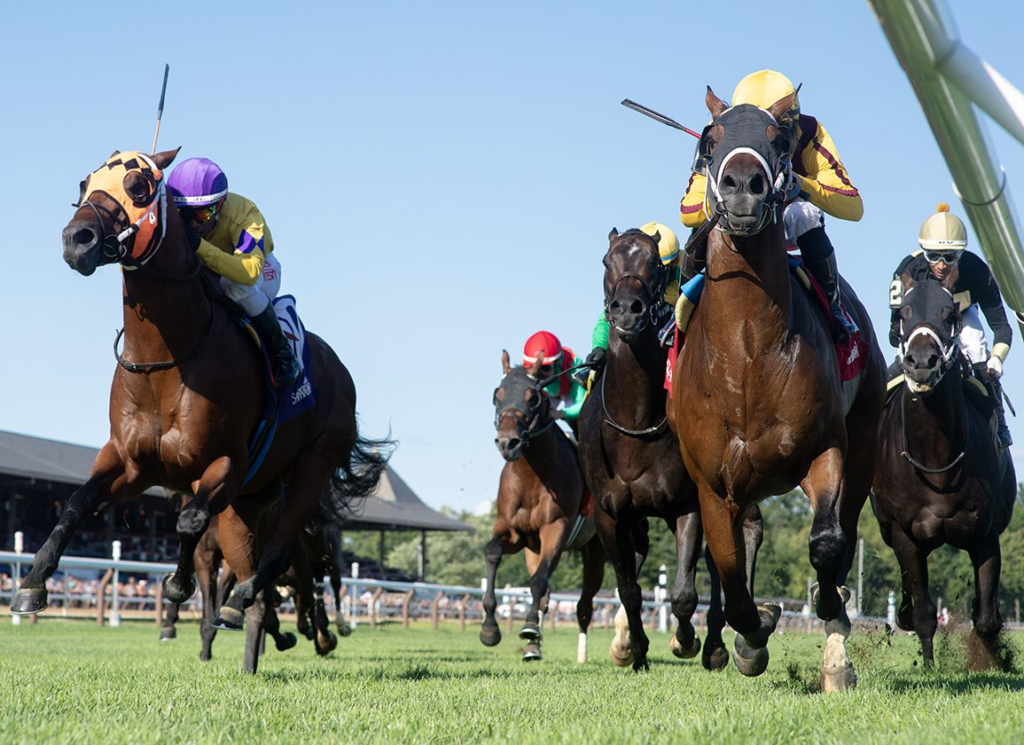 at the races app android