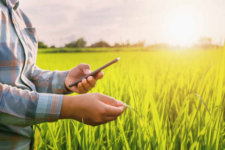 Farmers Signal App Review: Features, Benefits, and What Users Should Know farmers signal app review