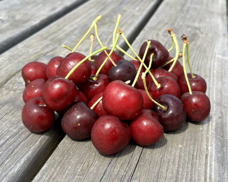 brouwer fruit - kersen verkoop